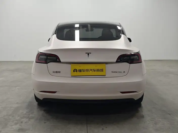 Model 3 2022 Model Rear-wheel drive version – фото 6