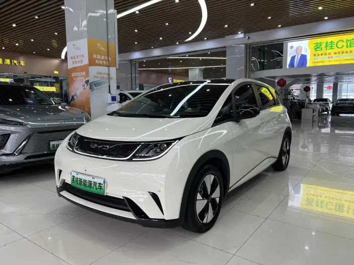 BYD Dolphin 2023 Model Fashion Edition – фото 1