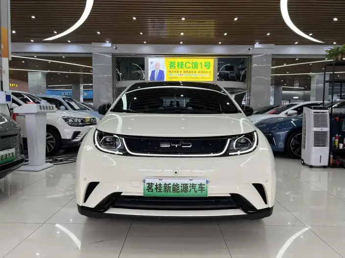 BYD Dolphin 2023 Model Fashion Edition – фото 2