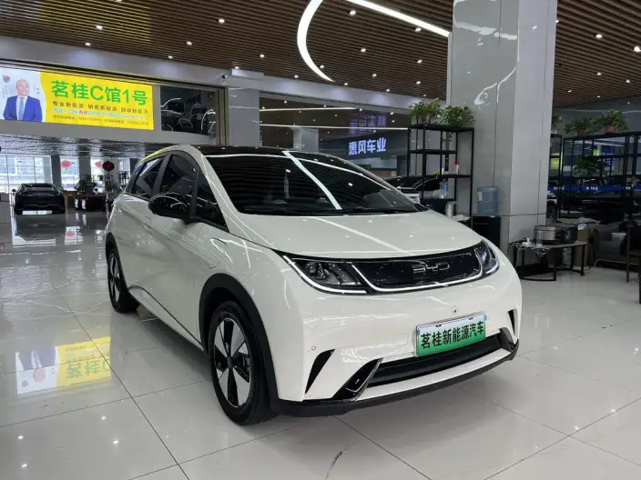 BYD Dolphin 2023 Model Fashion Edition – фото 3