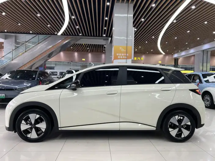 BYD Dolphin 2023 Model Fashion Edition – фото 4