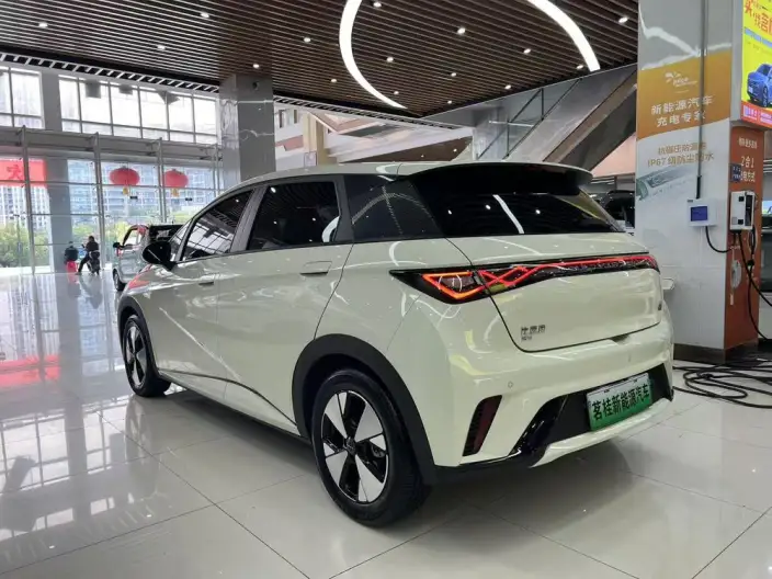 BYD Dolphin 2023 Model Fashion Edition – фото 5