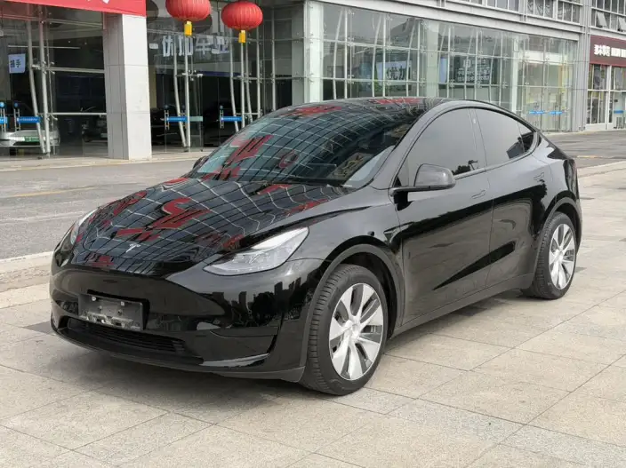 Model Y 2022 Model Rear-wheel drive version – фото 1