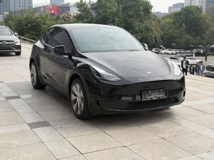 Model Y 2022 Model Rear-wheel drive version – фото 3