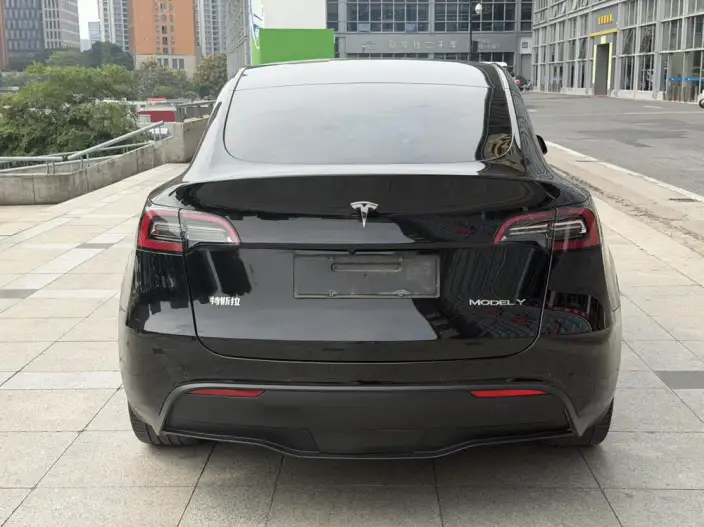 Model Y 2022 Model Rear-wheel drive version – фото 6