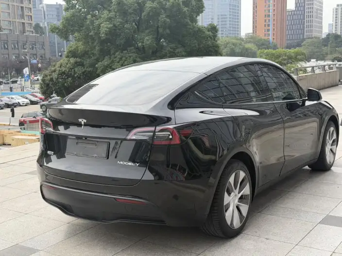 Model Y 2022 Model Rear-wheel drive version – фото 7