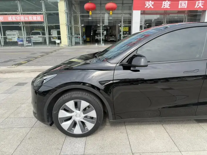 Model Y 2022 Model Rear-wheel drive version – фото 9