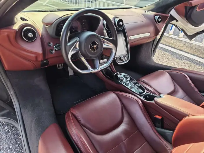 McLaren GT 2019 Model 4.0T Standard Model – фото 7