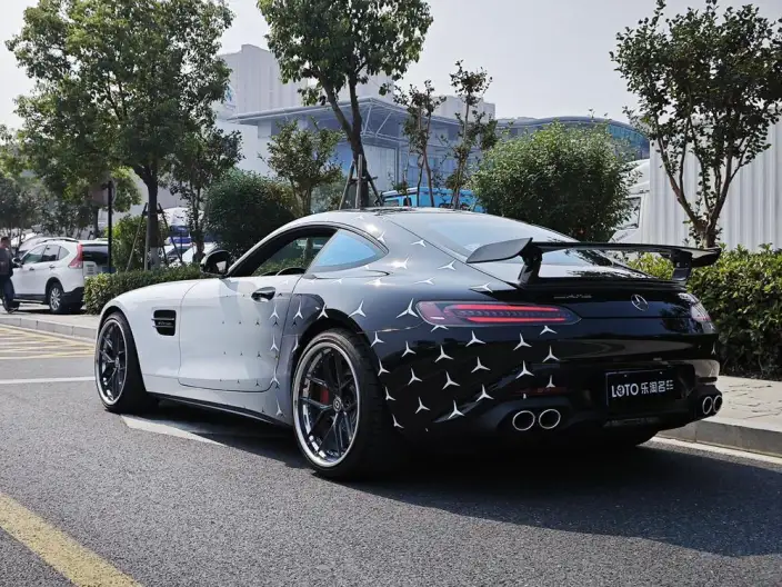 AMG GT 2019 Model AMG GT – фото 5