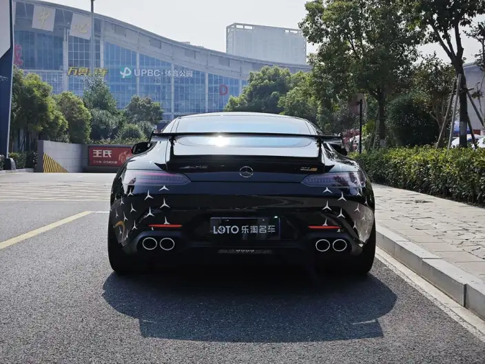 AMG GT 2019 Model AMG GT – фото 7