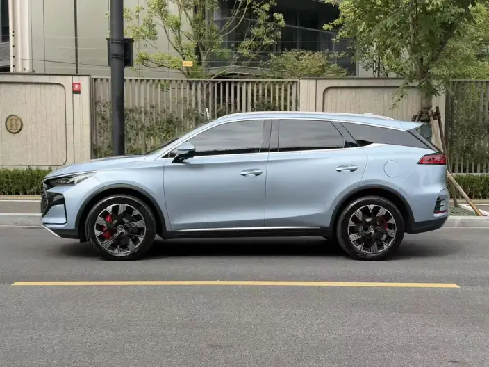 BYD Tang DM 2023 Model DM-p Champion Edition 215KM 4WD Flagship Model – фото 3
