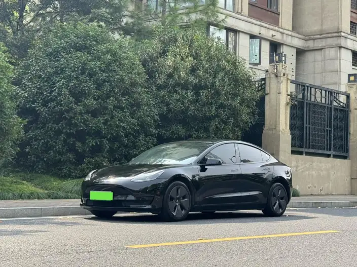 Model 3 2022 Model Rear-wheel drive version – фото 1