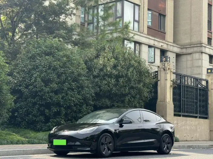 Model 3 2022 Model Rear-wheel drive version – фото 6