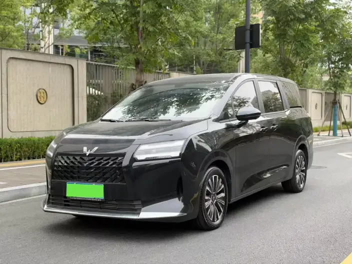 Xingguang 730 2025 Model 1.5T CVT Elite Model – фото 1