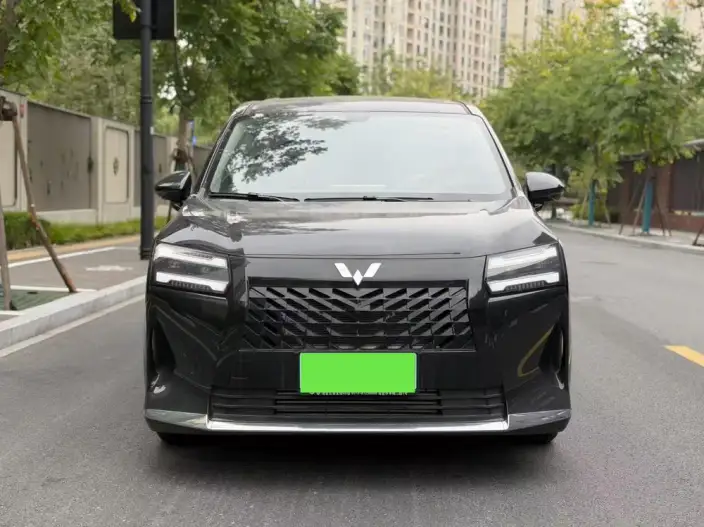 Xingguang 730 2025 Model 1.5T CVT Elite Model – фото 2