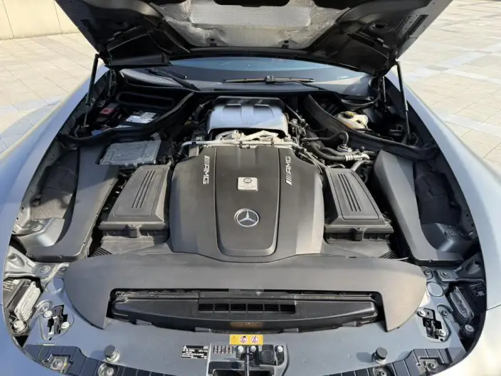 AMG GT 2019 Model AMG GT – фото 9