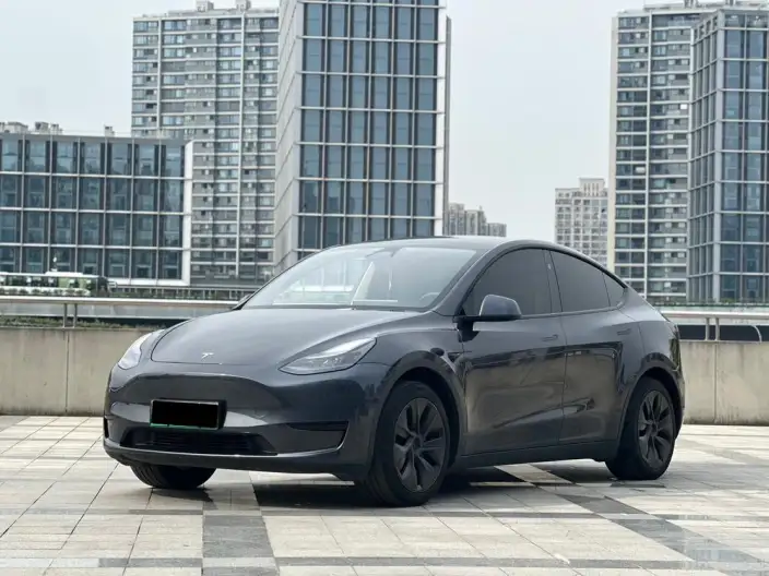 Model Y 2024 Model Rear-wheel drive version – фото 1