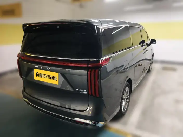 Wey Gaoshan P HEV 2023 Model 4WD Executive Extended Edition