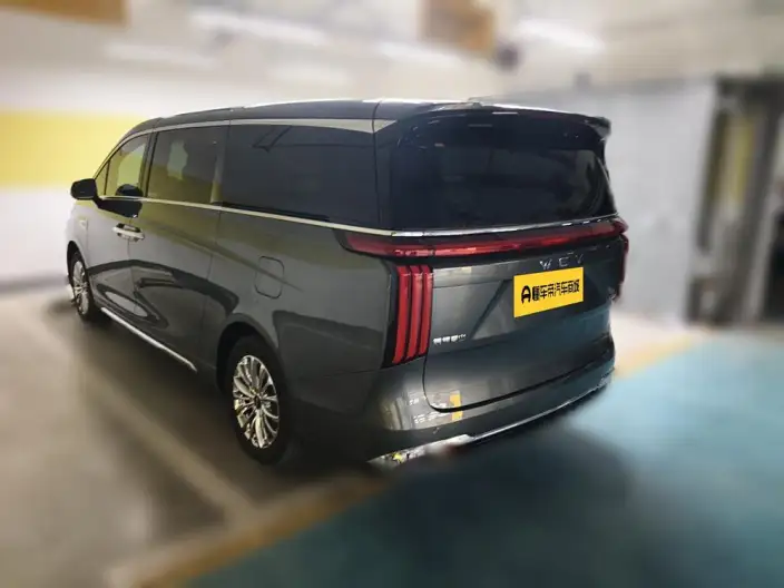 Wey Gaoshan P HEV 2023 Model 4WD Executive Extended Edition
