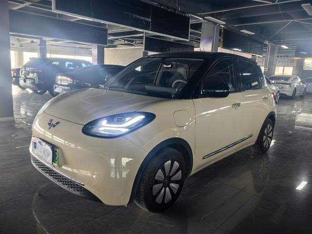 Wuling Binguo 2025 333km Lingxi Connected