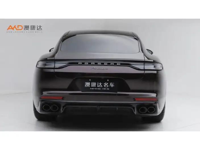 Panamera 2023 Model Panamera Executive Extended Platinum Edition 2.9T – фото 3