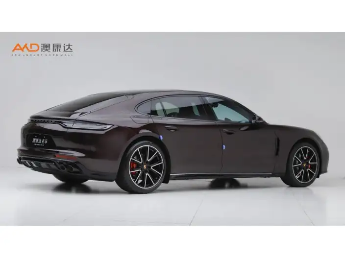 Panamera 2023 Model Panamera Executive Extended Platinum Edition 2.9T – фото 4