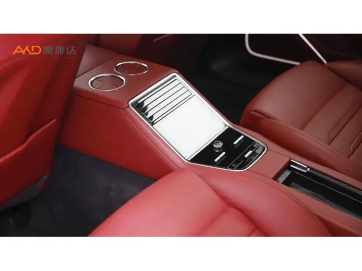 Panamera 2023 Model Panamera Executive Extended Platinum Edition 2.9T – фото 8