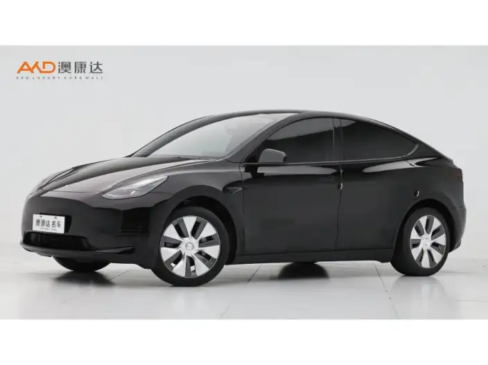 Model Y 2022 Model Facelift Rear-wheel drive version – фото 1