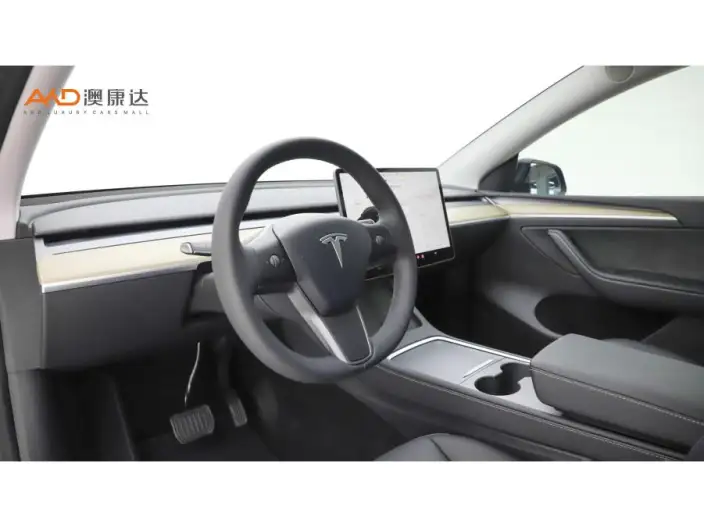 Model Y 2022 Model Facelift Rear-wheel drive version – фото 6