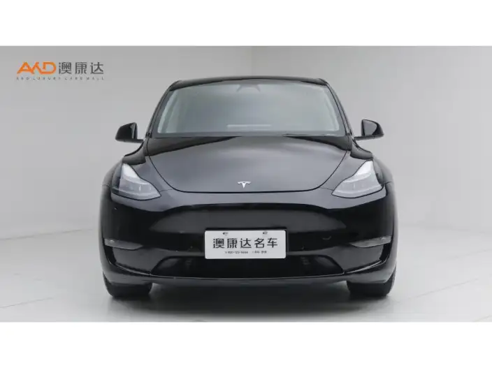 Model Y 2022 Model Facelift Long Battery Life Pro All-wheel drive version – фото 2
