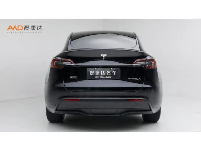 Model Y 2022 Model Facelift Long Battery Life Pro All-wheel drive version – фото 3