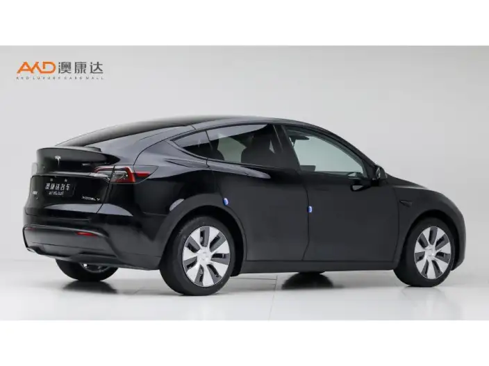Model Y 2022 Model Facelift Long Battery Life Pro All-wheel drive version – фото 4