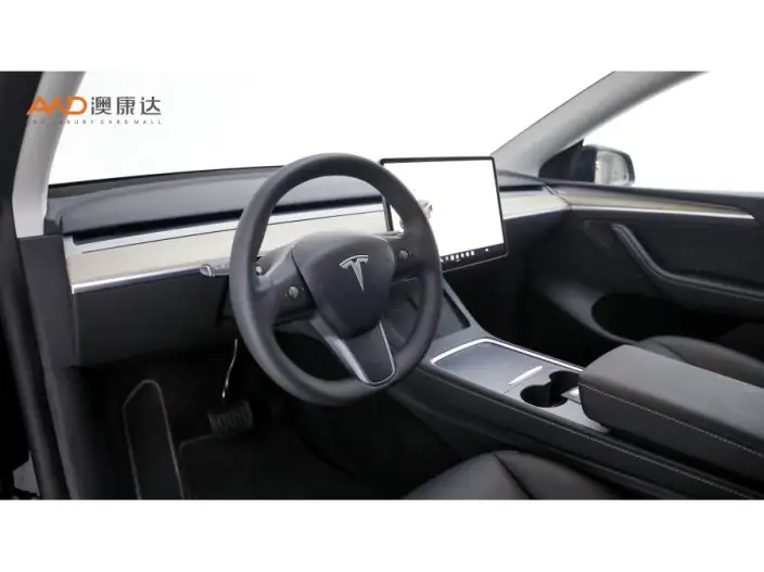 Model Y 2022 Model Facelift Long Battery Life Pro All-wheel drive version – фото 6