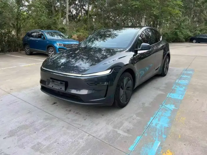 Model Y 2025 Model Rear-wheel drive version – фото 1