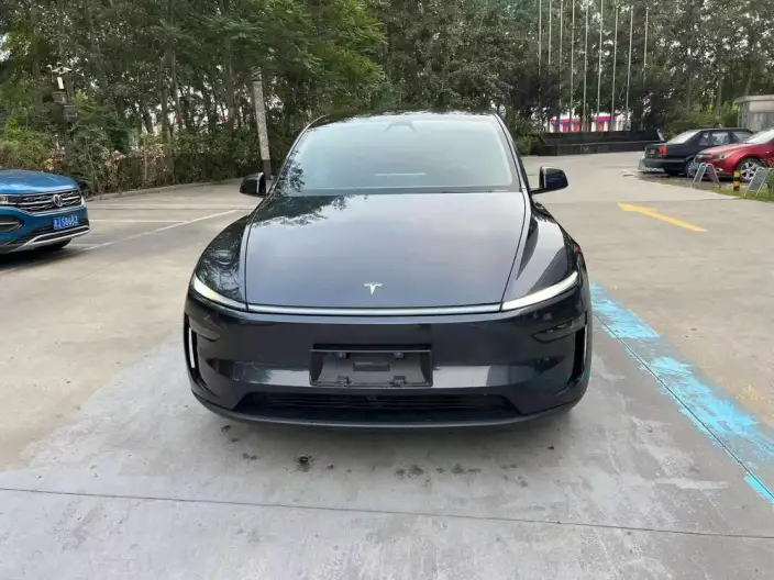Model Y 2025 Model Rear-wheel drive version – фото 2