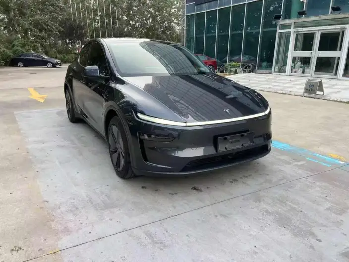 Model Y 2025 Model Rear-wheel drive version – фото 3