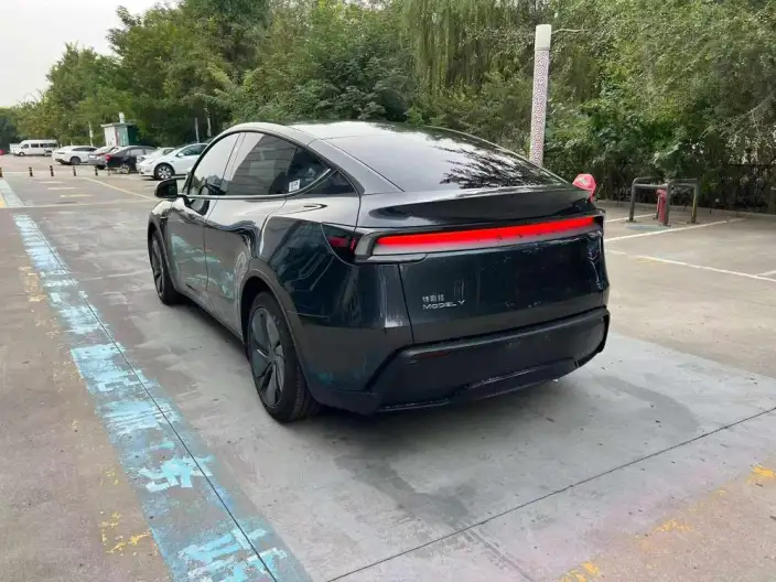 Model Y 2025 Model Rear-wheel drive version – фото 4