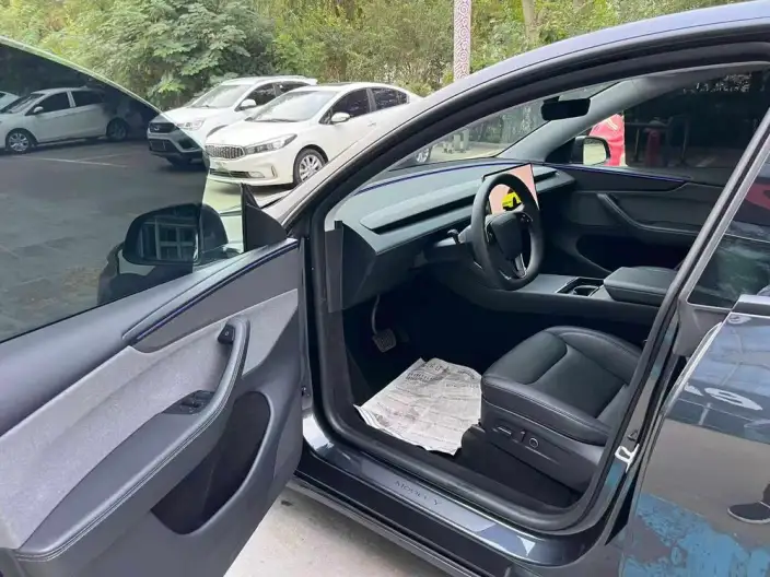 Model Y 2025 Model Rear-wheel drive version – фото 9