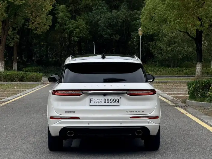 Lincoln Corsair PHEV 2021 Model 1.5T 4WD e Ya Edition – фото 5