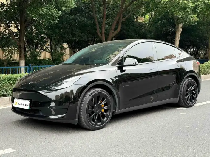 Model Y 2022 Model Rear-wheel drive version – фото 1