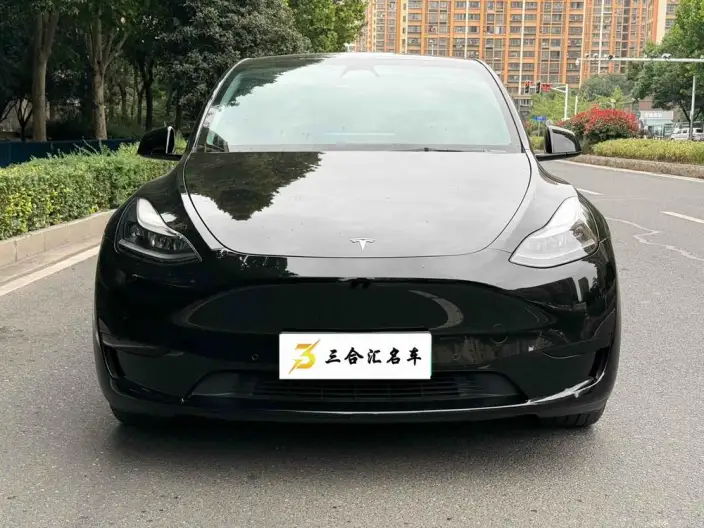 Model Y 2022 Model Rear-wheel drive version – фото 2