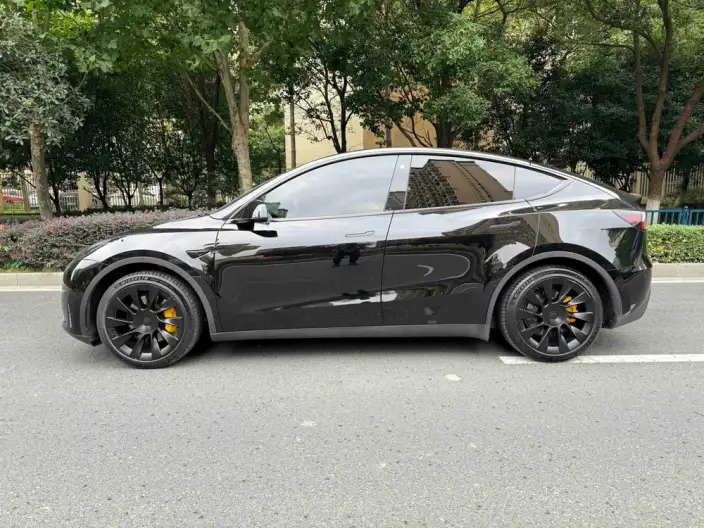 Model Y 2022 Model Rear-wheel drive version – фото 3
