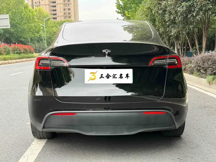 Model Y 2022 Model Rear-wheel drive version – фото 4
