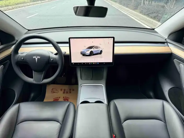 Model Y 2022 Model Rear-wheel drive version – фото 9