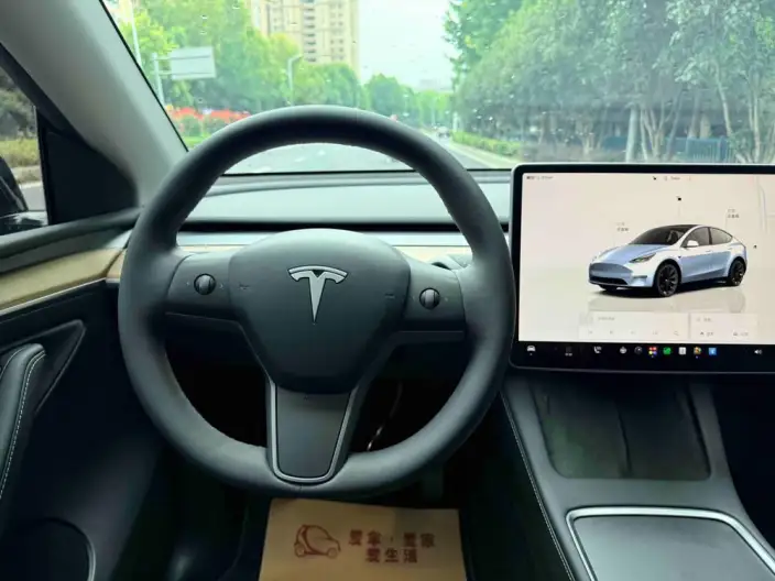 Model Y 2022 Model Rear-wheel drive version – фото 10