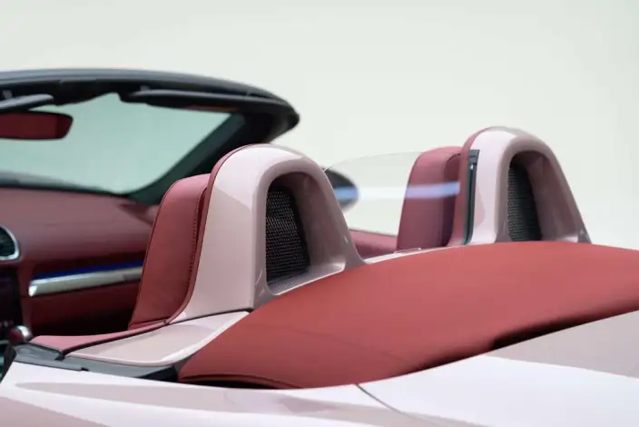 Porsche 718 2023 Model Boxster 2.0T – фото 9