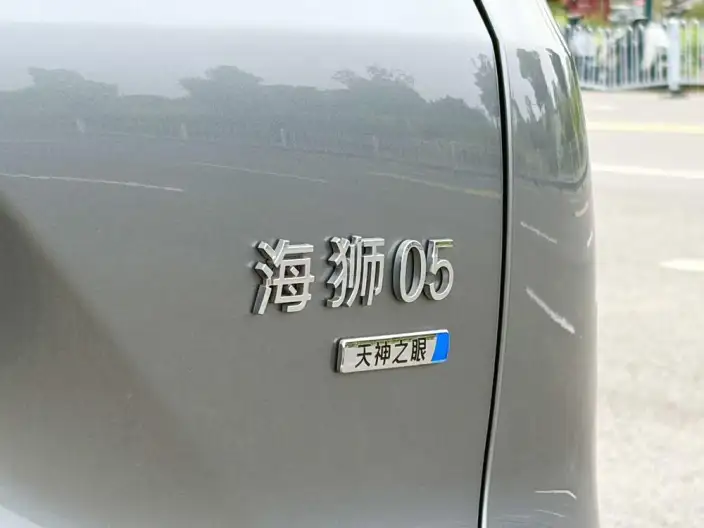 Haise 05DM 2025 Model Smart Driving Edition DM-i 75KM Luxury Model – фото 8