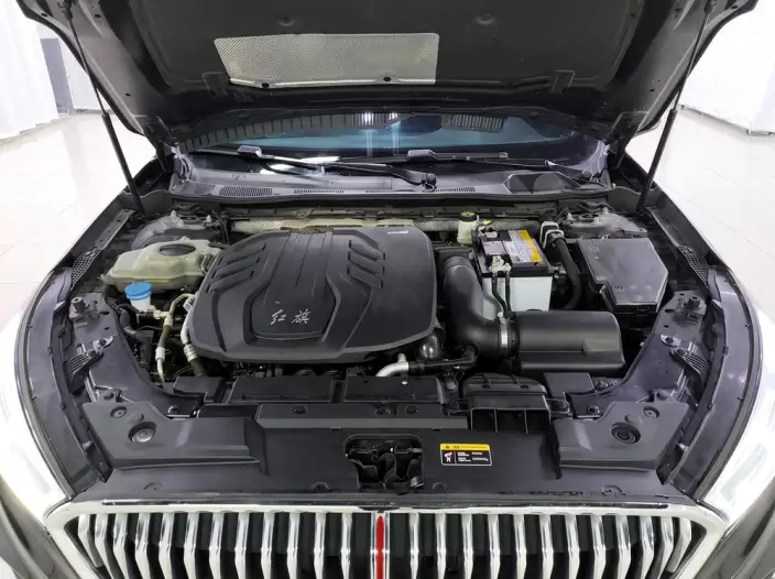 Hongqi H5 Classic 2022 Model Classic Model 1.8T Automatic Flag Rhythm Edition – фото 10