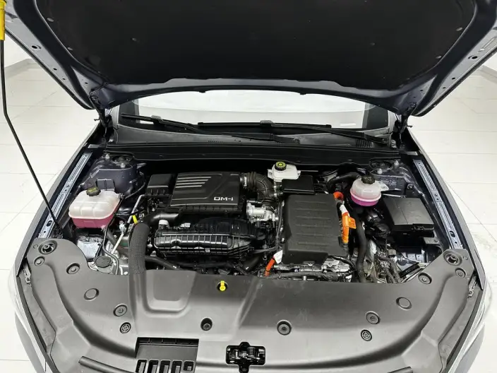 BYD Qin PLUS DM 2024 Model Honor Edition DM-i 120KM Leading Model – фото 10