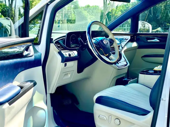 Buick GL8 2022 Model ES Luzun 653T Comfort Model – фото 9